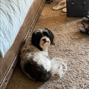 Meet your Posher, Nancy